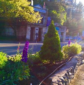 Ivy House Garden Clay Main Street Placerville California Community Pride Volunteers Work Days Credit Josette Johnson