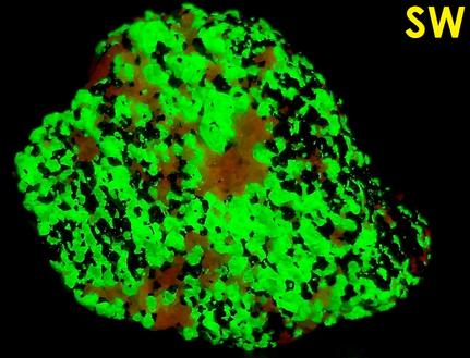 fluorescent sw lw willemite calcite franklinite franklin mine sussex new jersey