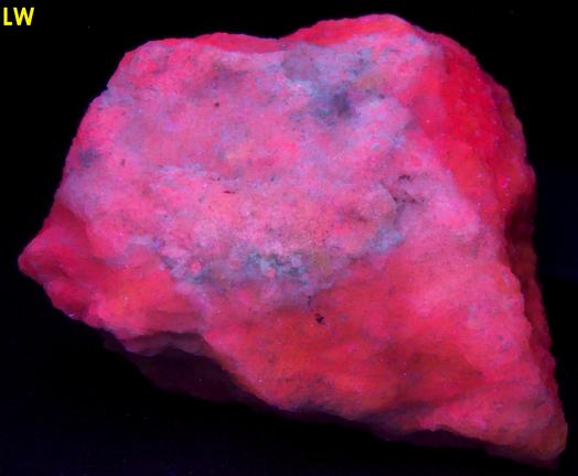 fluorescing SW LW CLINO-SUENOITE, TREMOLITE - International Talc Company Mine No. 8 (Reynolds Mine), Talcville, St.Laurence County, New York, USA