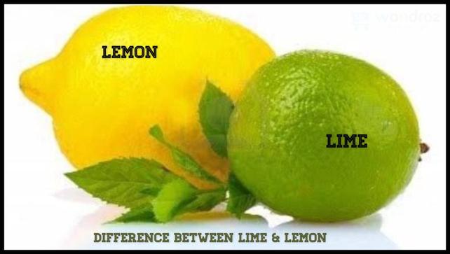 lemon juice extractor citrus juicer lime squeezer in Pakistan best price