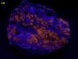 fluorescent SCAPOLITE and PLAGIOCLASE Albite-Anorthite, BIOTITE mica, CORUNDUM Sapphire - York River area, Dungannon Township, Hastings Co., Ontario, Canada - for sale