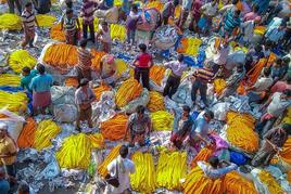 Flower Market