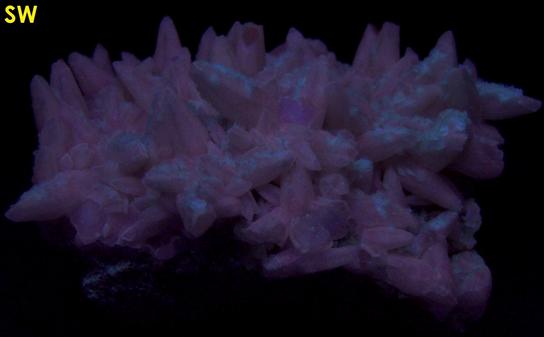 SW LW fluorescing CALCITE - Minerva No. 1 Mine (Ozark-Mahoning No. 1 Mine), Ozark-Mahoning Group, Cave-in-Rock Sub-District, Illinois - Kentucky Fluorspar District, Hardin County, Illinois, USA