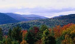Scenic Vermont View