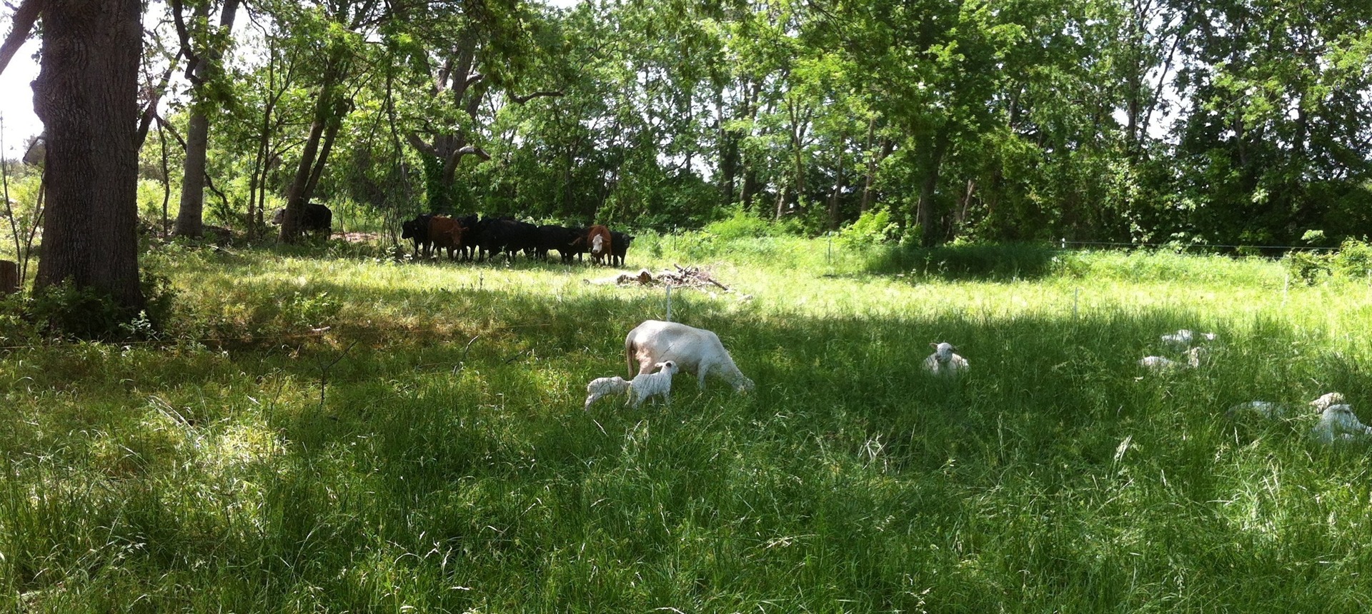 Full Expression Farm photo 4