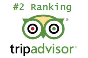 Trip Advisor Rating & Review