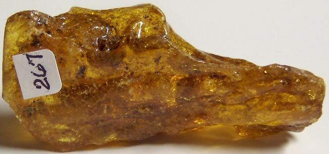 Fluorescent golden AMBER - Dominican Republic, ex Sue MacInnis