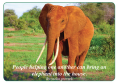 Elephant Diversity Card