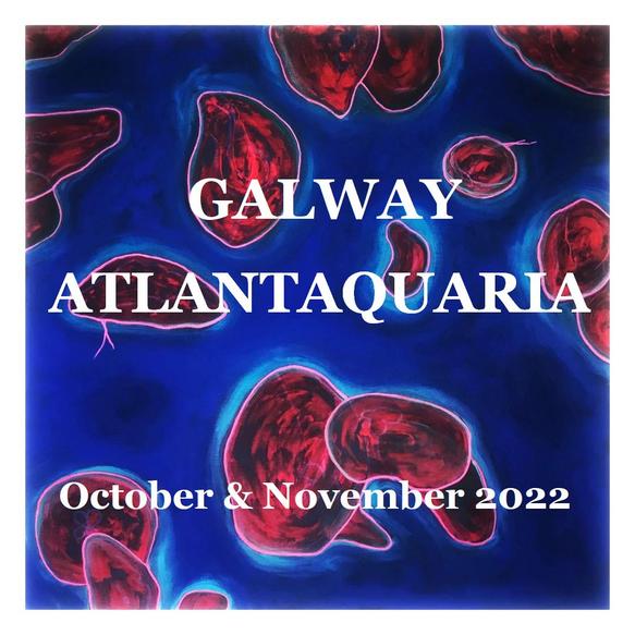 Galway Atlantaquaria Art Display National Aquarium Ireland October 2022
