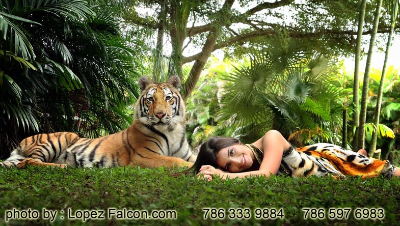 Arabian Nights Quinceanera with Tiger Theme Moroccan Quinces miami Photography Quinces Video Arabian Quinceanera Dresses Miami