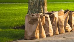 Options to Dispose of Yard Waste