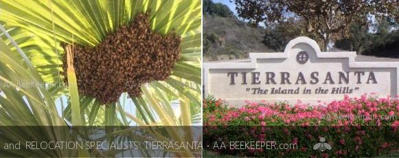Tierrasanta Bee Removal and Tierrasanta Beekeeper