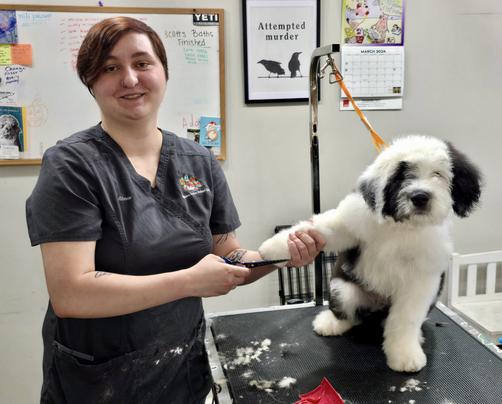 Stevie Long Groomer