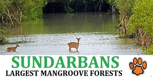 Sundarban Tour Package From Kolkata