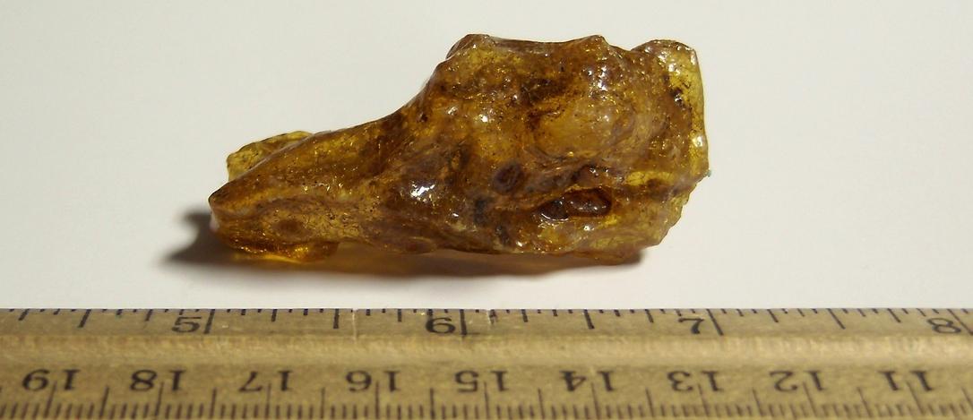 Fluorescent golden AMBER - Dominican Republic, ex Sue MacInnis