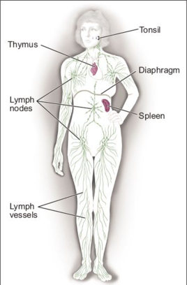 Lymphatic Cancer - Dr. Joel Wallach