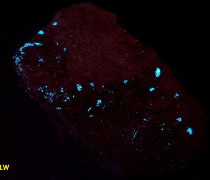 hydrocarbon mineral fluorescent IDRIALITE CURTISITE - Skaggs Springs Mine, Skaggs Springs, Warm Springs Dam, Coast Range, Sonoma County, California, USA