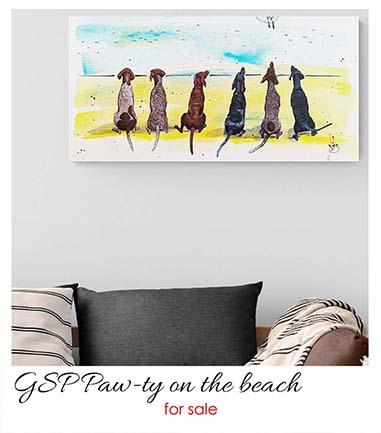 German shorthaired pointers, dogs, GSP, beach scene,