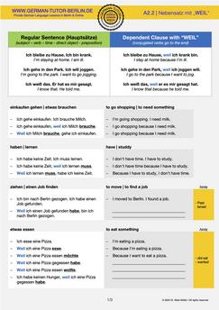 German Exercises pdf | Relative Clause Accusative