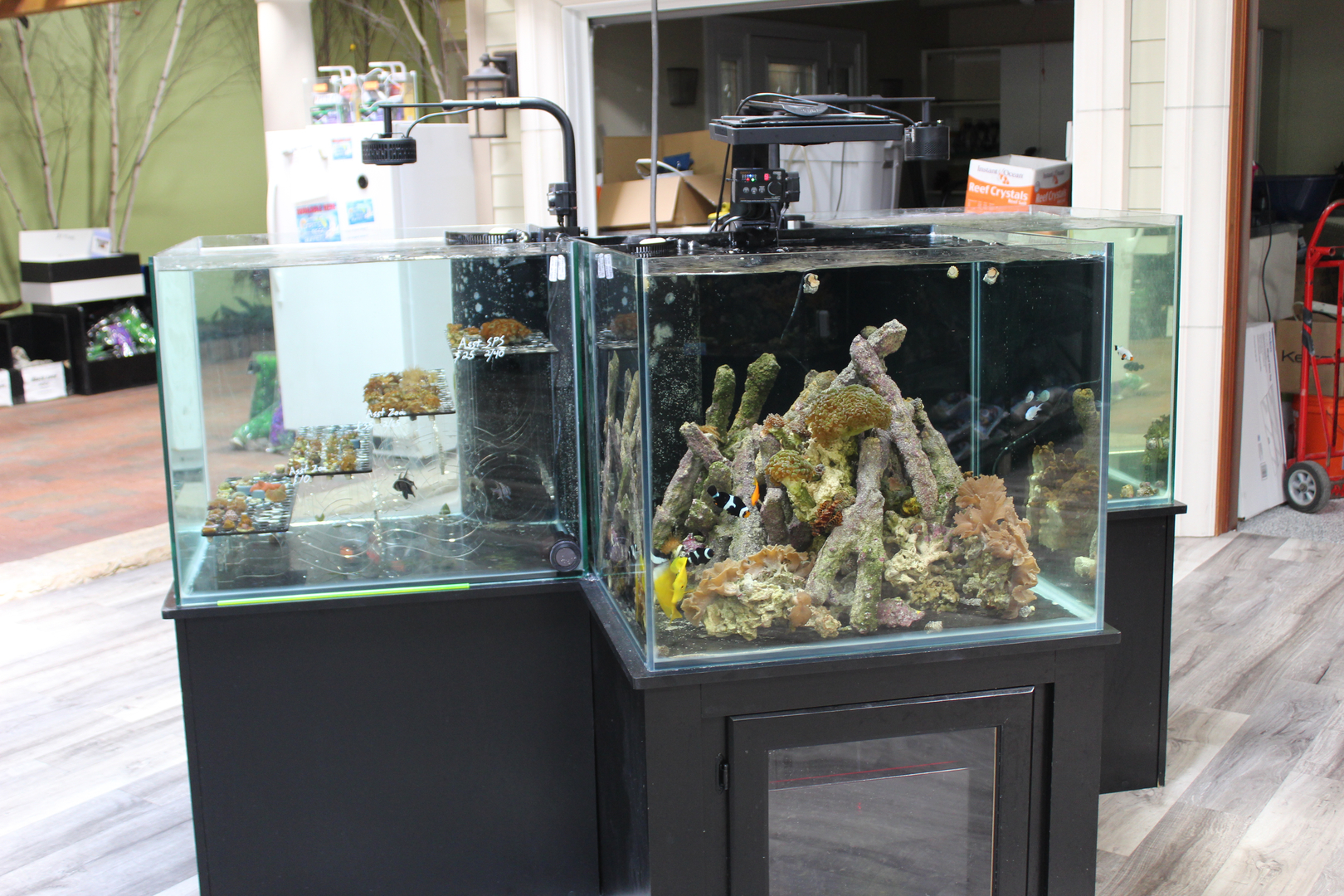 Aquarium reef outlet store