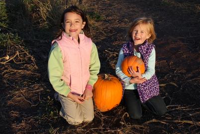 Pumpkin patch, hayrides, corn maze, apples