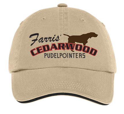 Cedarwood pudelpointers best sale