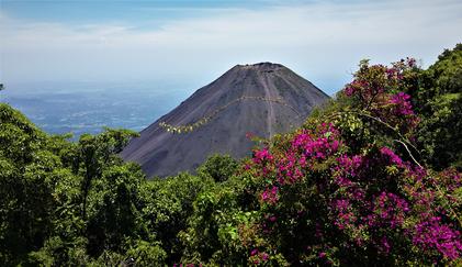 Ruta de Las Flores