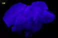 fluorescent Fluorite - Cumbria, England, UK - ex A.E.Foote