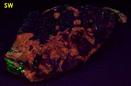 fluorescent FLUORAPATITE, BUSTAMITE, WILLEMITE, ANDRADITE, DIOPSIDE SCHEFFERITE, CALCITE, Franklin Mine, Franklin, Franklin Mining District, Sussex County, New Jersey, USA - type locality