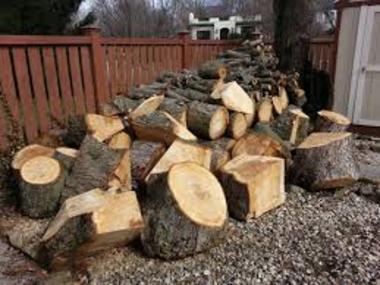 Yard Waste Removal Yard Waste Trees Branches Leaf Removal Service and Cost | Las Vegas NV | Service-Vegas