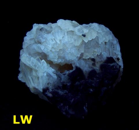 Fluorescent & Phosphorescent Calcite Rucks pit Florida