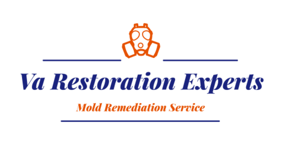 Mold Remediation Service Fredericksburg Va