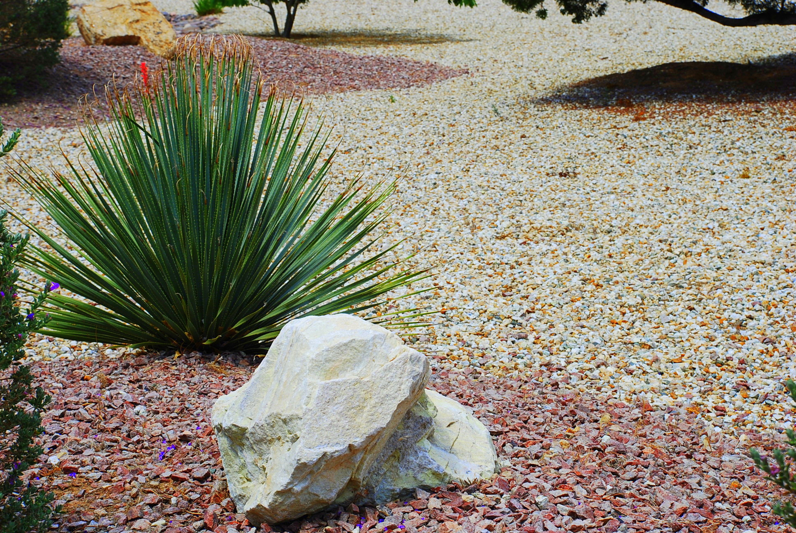 Affordable Decorative Rock Services