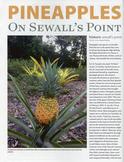 Pineapples