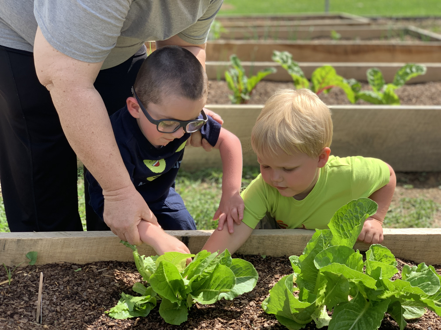 Wilkes Developmental Day Schl