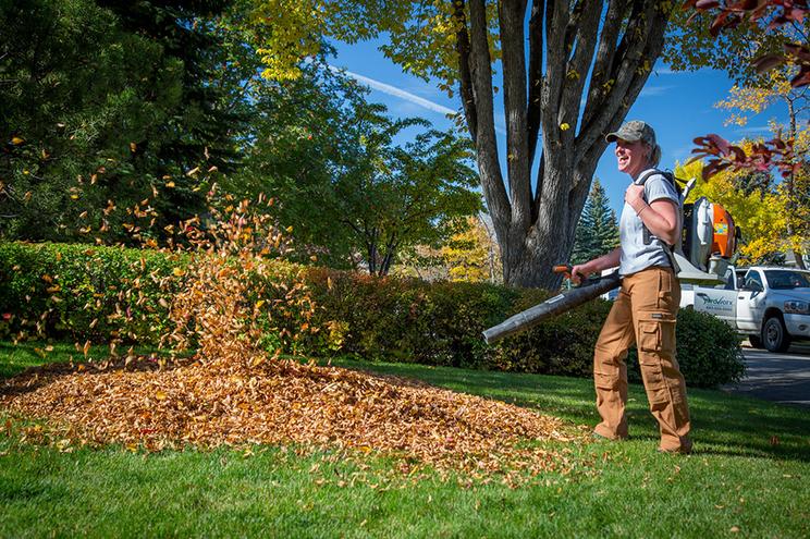 FALL YARD CLEAN UP SERVICE