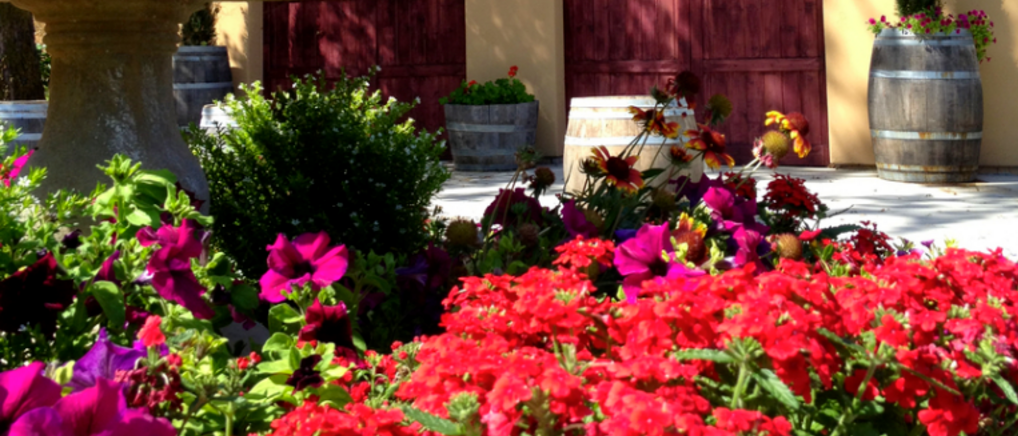 Fountain and flowers in front of the winery