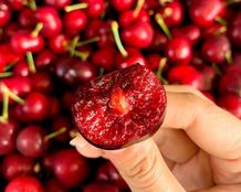 Cherry Mỹ