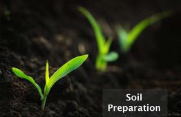 Soil Preparation