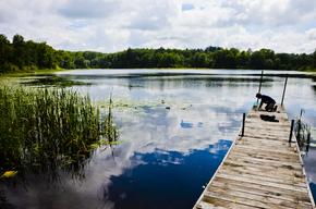 Tri Lake Timbers