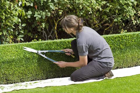 LAWN CARE CONTRACTOR