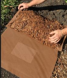 Faq S About Weed Recede