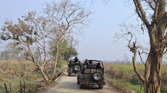 Dooars Tour Packages Best Itinerary Cost