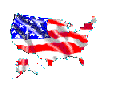 Wavig US flag