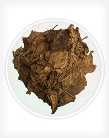 tobacco ceremonial wild nicotiana rustica leaf whole lb