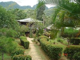 "Mayfield falls Jamaica, natural waterfall Attraction"