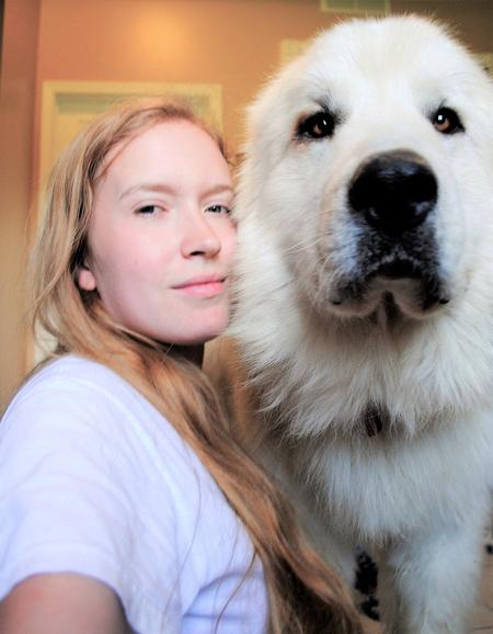 Great Pyrenees puppies ~ Wells' Providence AKC Registered Livestock Guardian Dogs and puppies