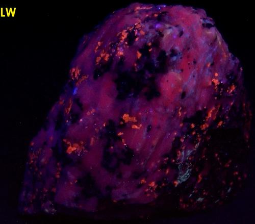 fluorescing Sphalerite, Franklinite-Magnetite, Diopside, Willemite, Calcite, Sterling Mine, Sterling Hill, Ogdensburg, Franklin Mining District, Sussex County, New Jersey, USA, ex Franklin Mineral Museum, ex Anthony Den Uyl