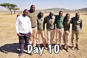 taasa africa tanzania safari wild animals