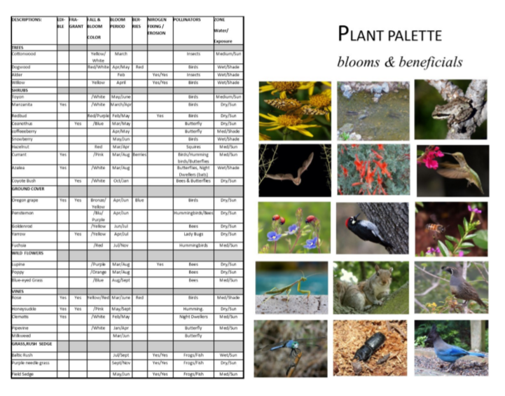 Plant Palette Blooms and Beneficials Placerville Petals Community Pride Volunteers Josette Johnson http://josettejohnson.com